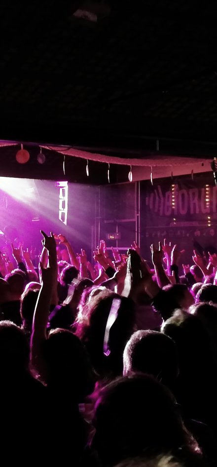 TRIBUTE : "FORUM'S BIRTHDAY"