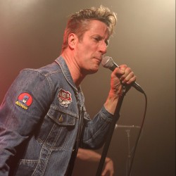 Washington Dead Cats