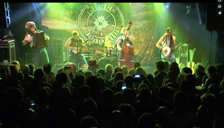 STEVE'N' SEAGULLS
