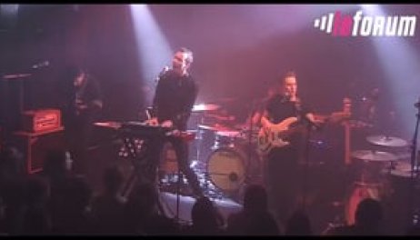 COLOURS IN THE STREET - BIRDS